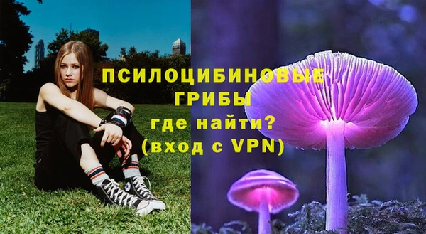 твердый Магадан
