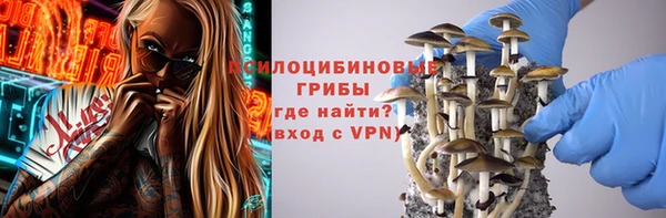 твердый Магадан