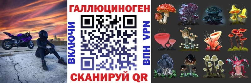 где купить наркотик Собинка Галлюциногенные грибы прущие грибы